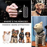 Rechargeable Anti-Bark Dog Training Collar, Waterproof, Remote Control, Pet Product, Puppy, Small Dog, 400M