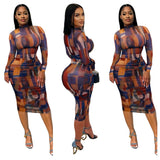 Fashionable And Elegant Printed Mesh Ruched Dress