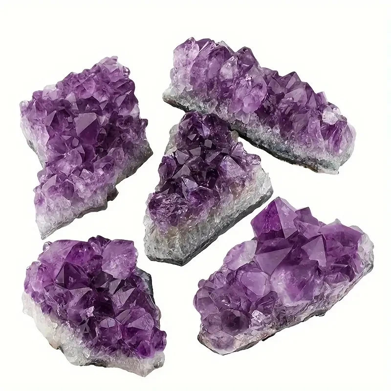 S3d37221934774956a33551d01d1bcc01j