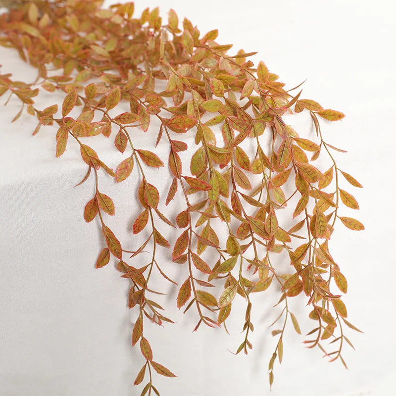 S53980f88188247269ffb6eef5e672885U