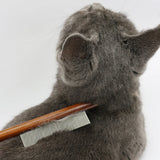 S689f47fcbac44246a726914d15836ce9G