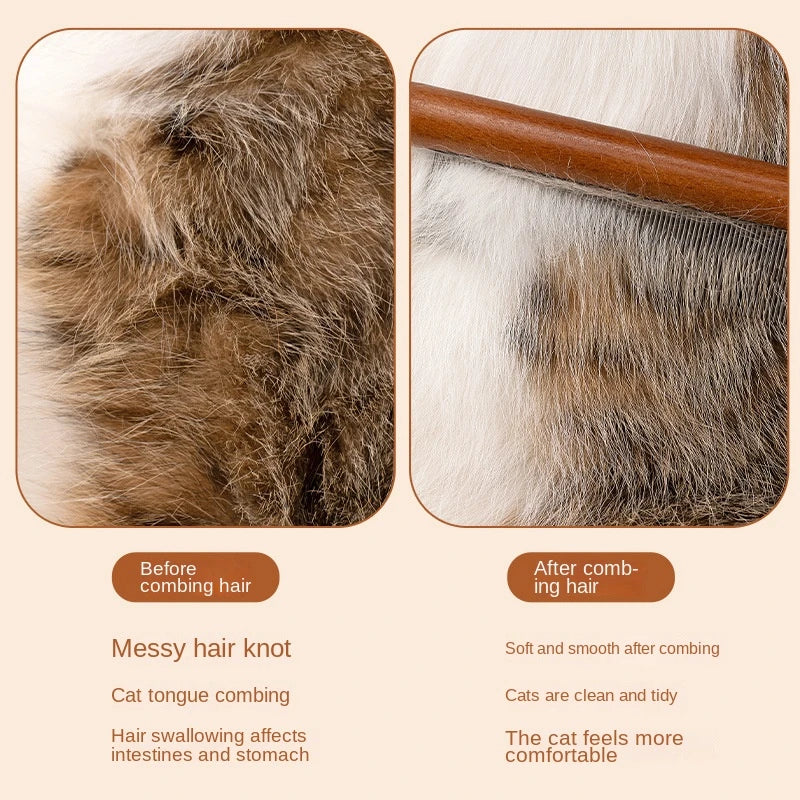 S880ef26aa1294f9c90293ce21790a03fY