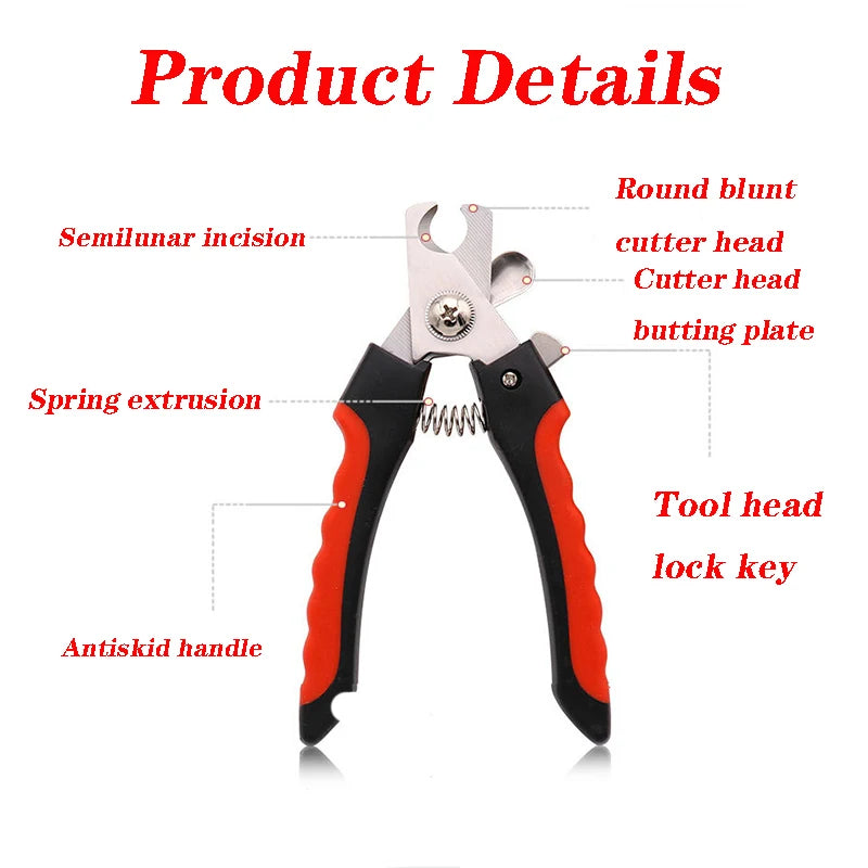 Scbda731fed7b4a619da59ccfa400df143