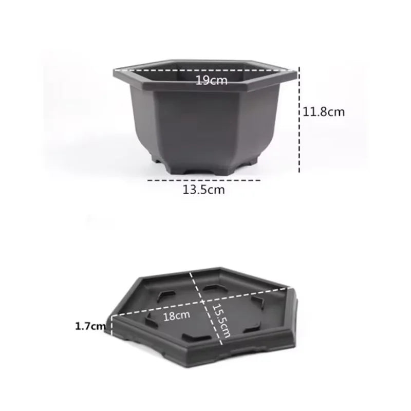 Se84a1211ecc84e4894278b8962273714t