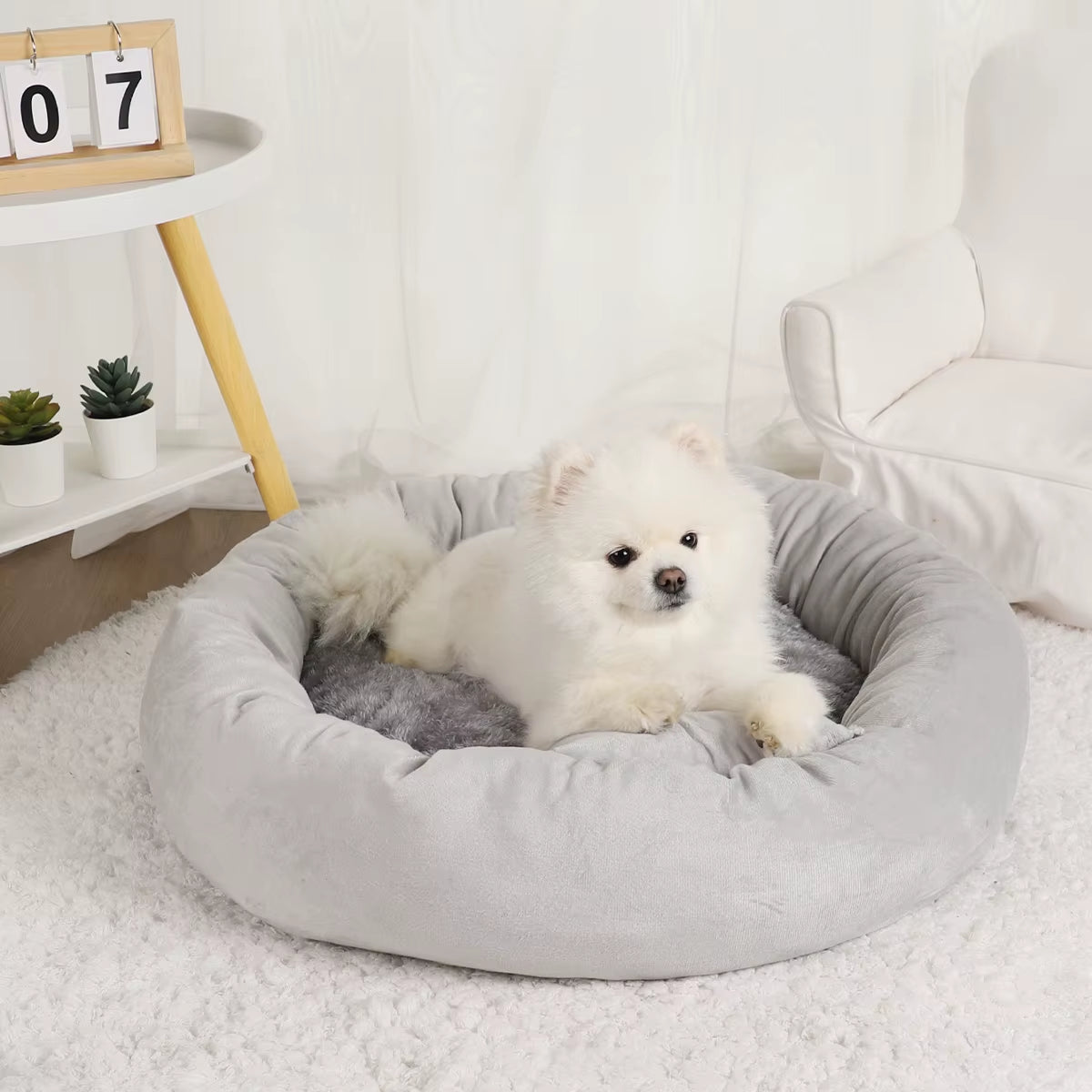 Pet Beds Small Dogs Puppy Bed Sofa Dog Accessorys Accessories Plush Medium Basket Warm Washable Fluffy Kennel Pets Products